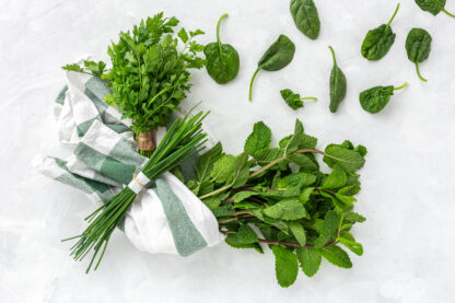 beneficios de las hierbas para la salud-1-1