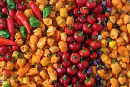 beneficios para la salud de la mezcla de guindillas